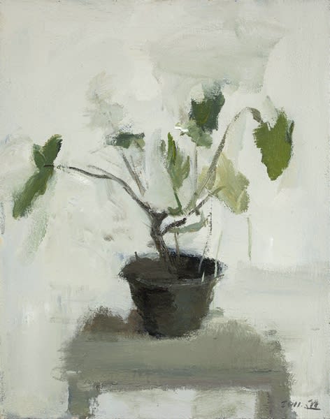孫遜 Sun Xun, 花盆 No.3