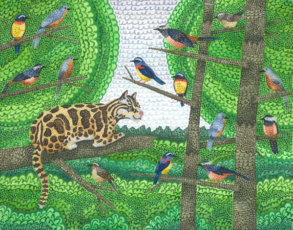 Howard Fonda, Untitled (white-eared sibia, collared bush-robin, silver bird, formosan clouded leopard)