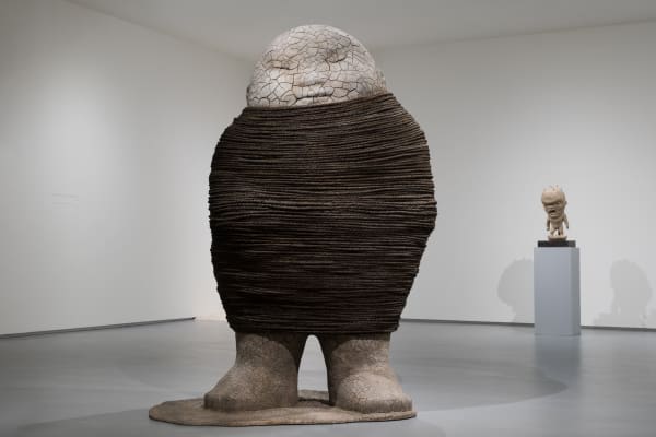 李真 LI Chen, 光纤之一