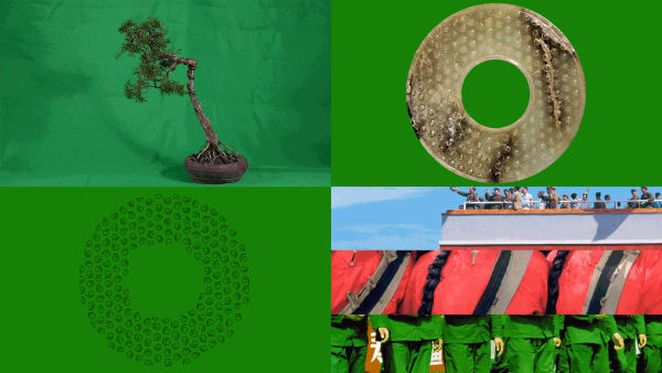 毛晨雨 Mao Chenyu, 记忆 23 光速遗忘