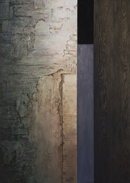 应天齐 Ying Tianqi, 见光之三