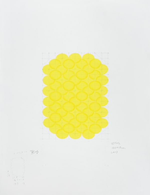 董大为 Dong Dawei, 菠萝 y2-ss10