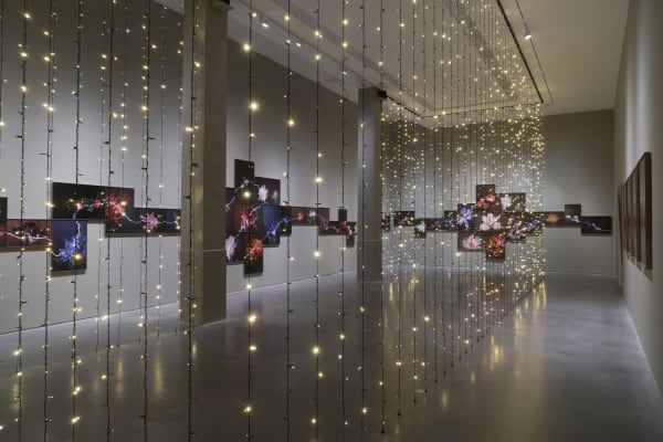 胡为一 Hu Weiyi, 越界