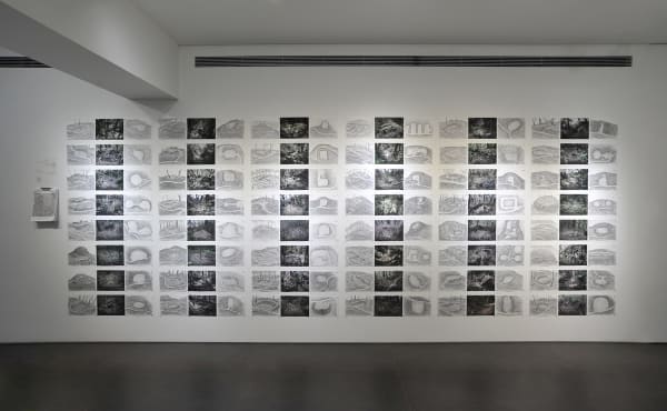 高俊宏 Kao Jun-Honn, 《大豹：温带的边界》系列「前进图」