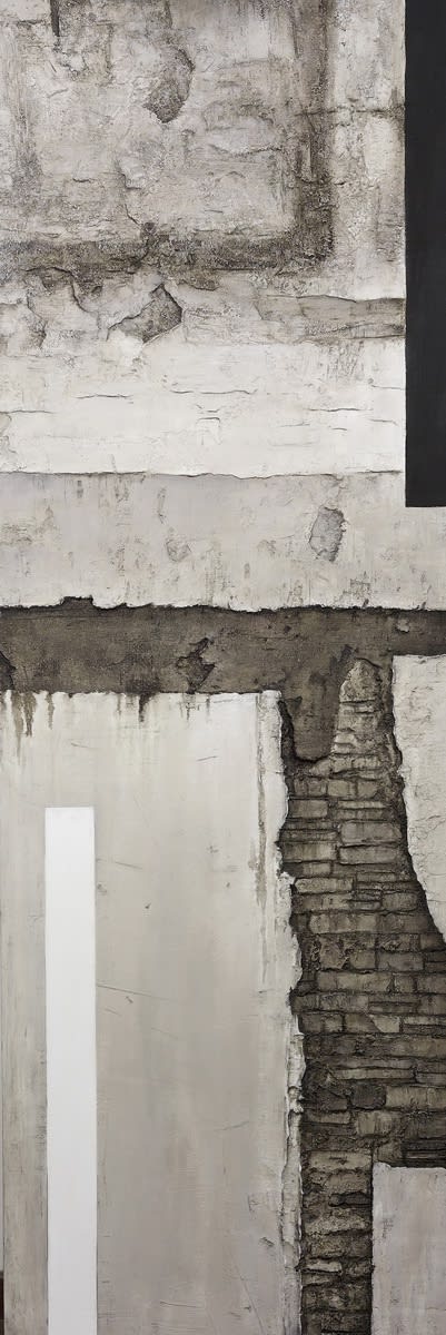 应天齐 Ying Tian Qi, 抱元守一