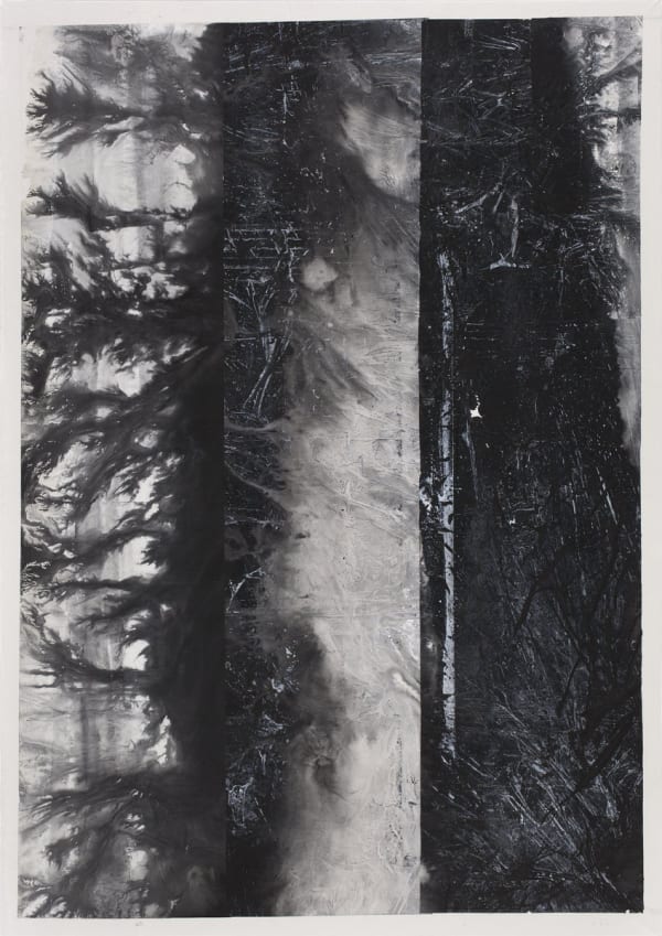 鄭重賓 Zheng Chongbin, 三類氣態