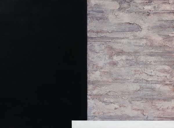 应天齐 Ying Tian Qi, 深宫之一