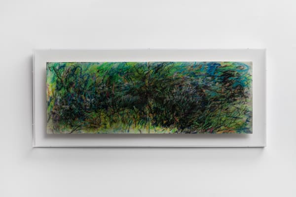 Li Yushuang, 植物園·夏, Botanical Garden in Summer