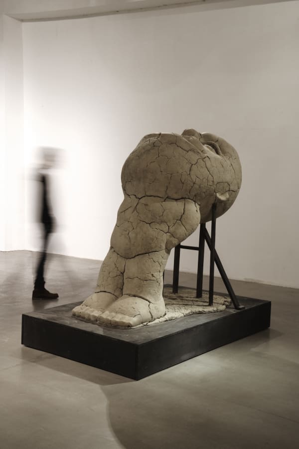 李真 LI CHEN, 无人