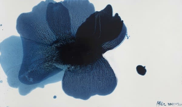 毛栗子 Mao Lizi, 花非花 20120920