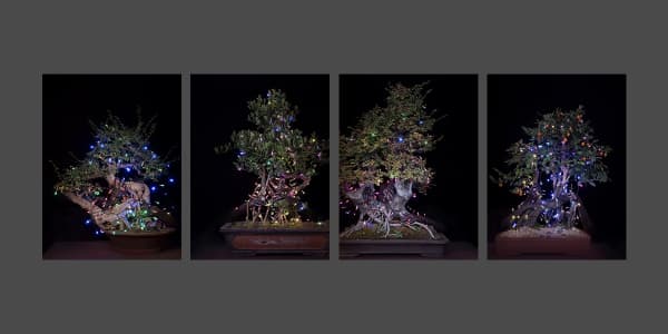 胡为一 Hu Weiyi, 装扮