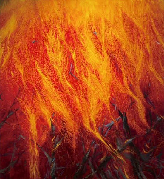 Leigh Li-Yun Wen, Fire-08