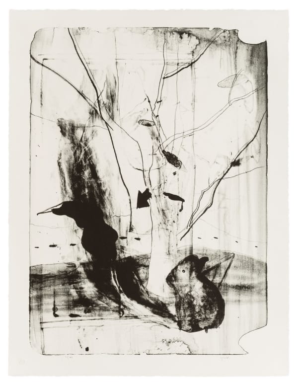 尹齐 Yin Qi, 兔子和它的影子