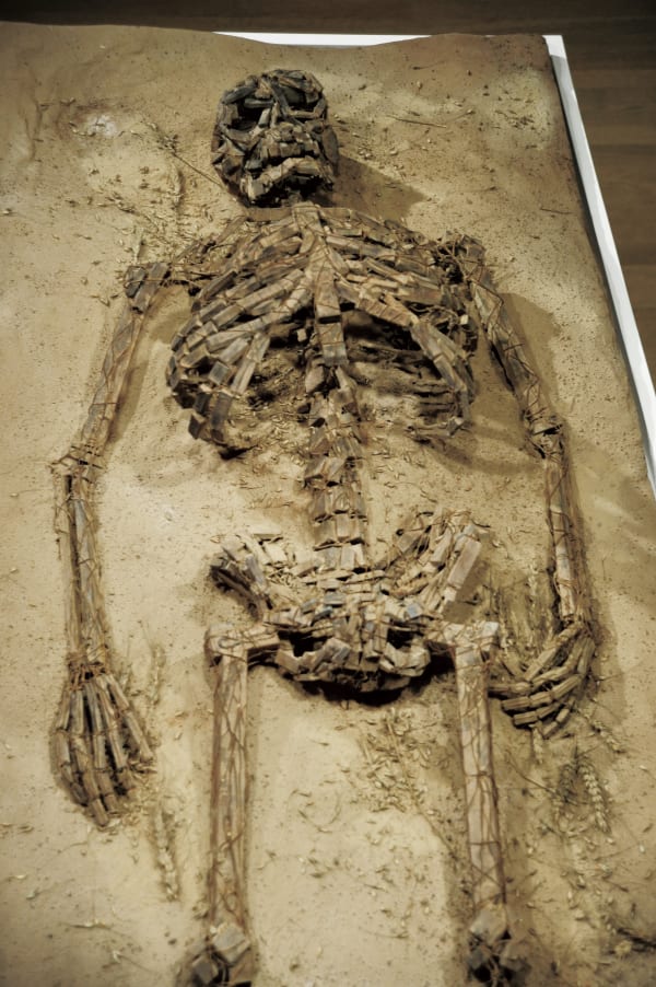 李真 LI CHEN, 草民之一