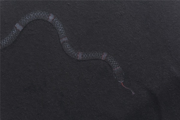 杭春暉 HANG Chunhui, 誘惑 (局部)