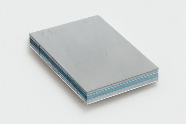 HANG Chunhui, Message Obscured by Form-No.12