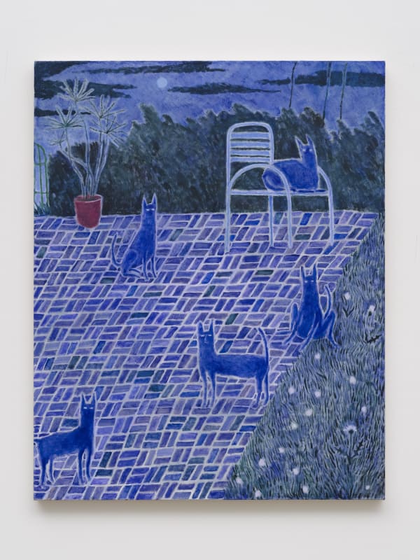 Chase Biado, Strange Cats