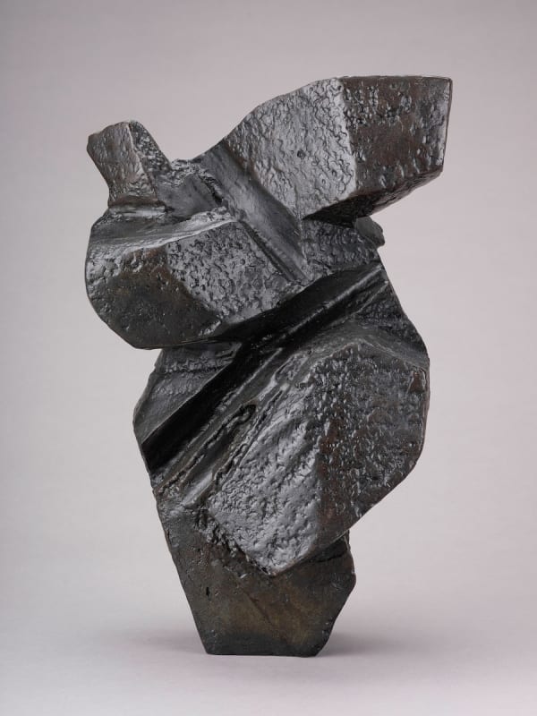 朱铭 JU MING, 太极系列