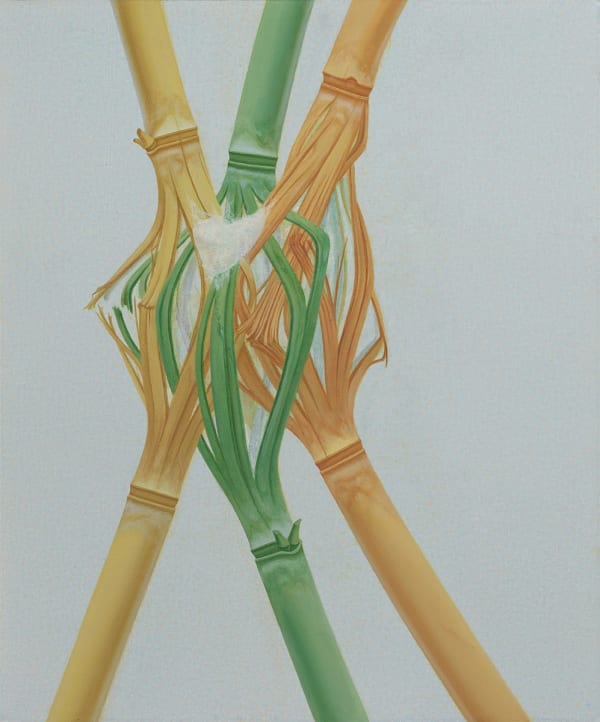 吳笛笛 WU Didi, 三者