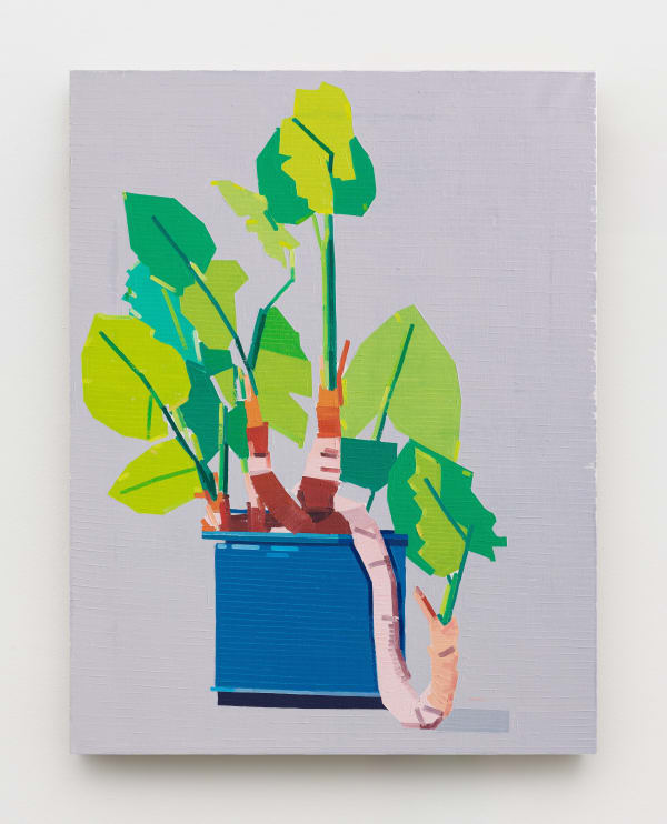 Guy Yanai, Fox Hill Road – Hotel Regina