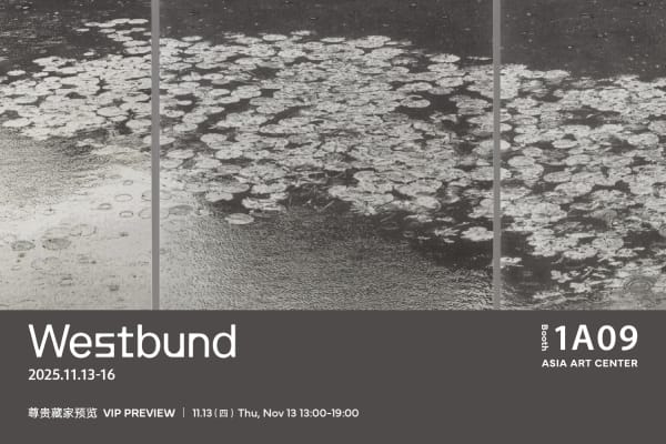 西岸艺术与设计博览会