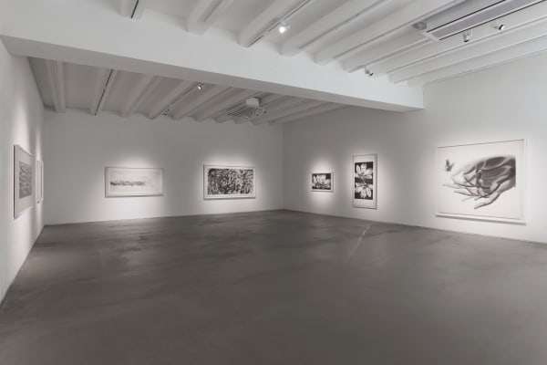 印痕与复数—陈琦个展