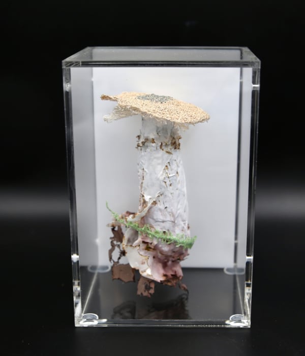 Cathy Brickhill, Deathcap Fungi Sculpture #8