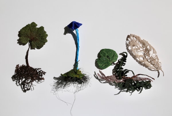 Cathy Brickhill, Forest Floor Species of New Zealand