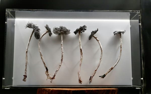 contemporary art embroidery