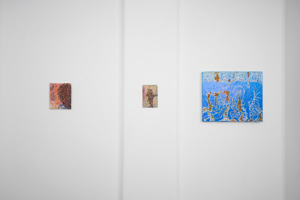 Incubator Fungai Benhura 008