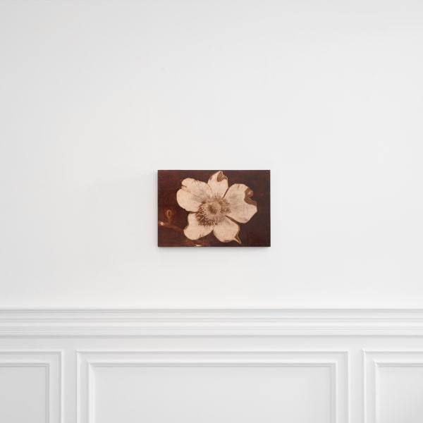 Incubator Orfeo Tagiuri 017