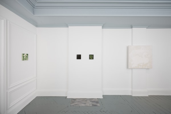 Incubator Seraphina Mutscheller 010