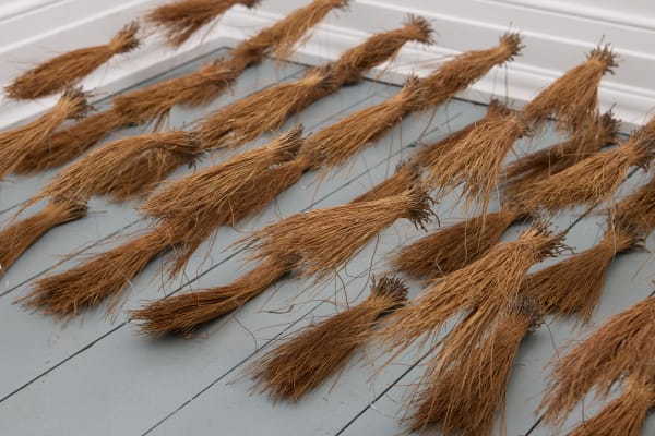 Incubator Seraphina Mutscheller 033