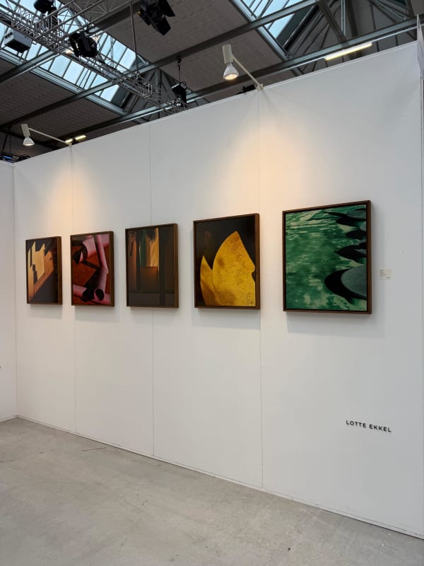 Lotte Ekkel, Miami Walls, 2024