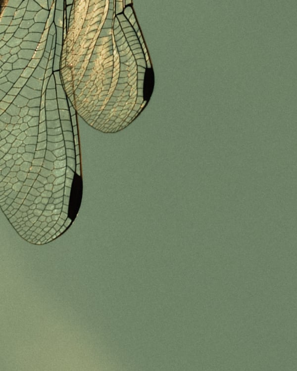 MIA PHOTO FAIR MILAAN