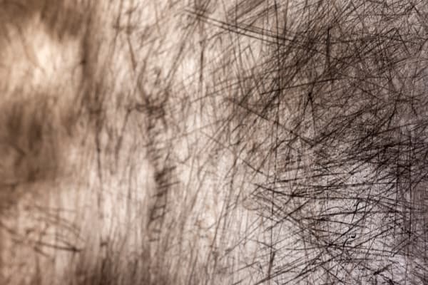 Detail: After the burn, Konza Prairie Drawings, Erin Wiersma, 2022