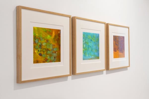 David John Flynn, Edition, gerahmt