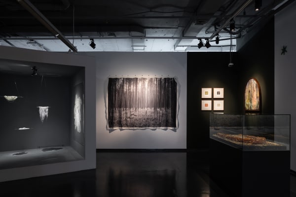 В тени ландшафта