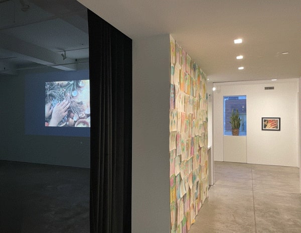 Microsoftteams Image 20