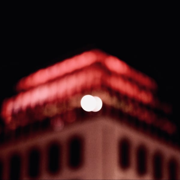 Mischa Fanghaenel, NEUMARKT, 2021