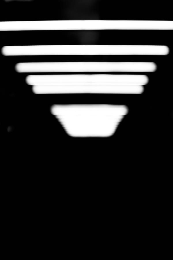 Mischa Fanghaenel, LINES, 2019