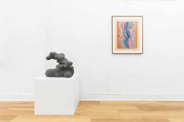 ...before you become forest again... installation view. Photograph by Shaun Roberts