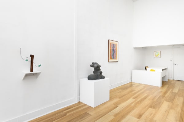 ...before you become forest again... installation view. Photograph by Shaun Roberts