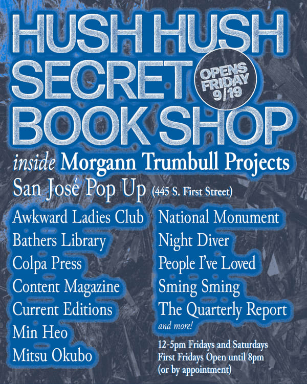 Hush Hush Secret Book Shop Inside Morgann Trumbull Projects' San José Pop-Up Gallery