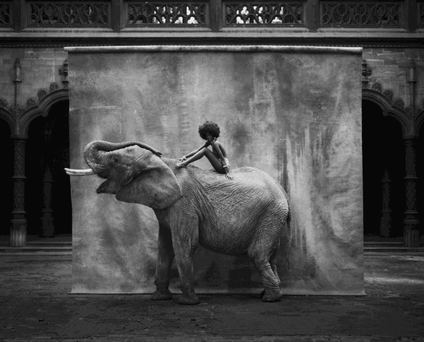 Lagrange Marc, Mokita, 2014