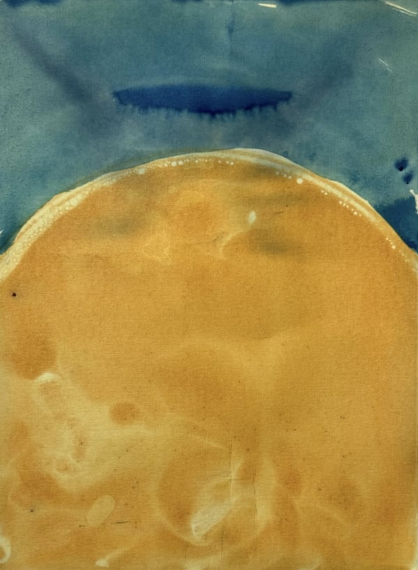 LA Wildfire Relief: Fundraiser Exhibition