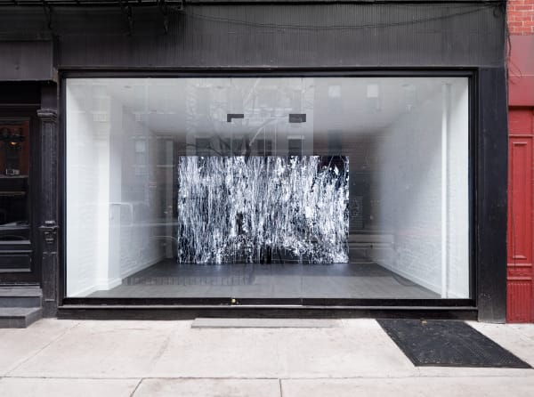 Infinite Garden Leander Herzog