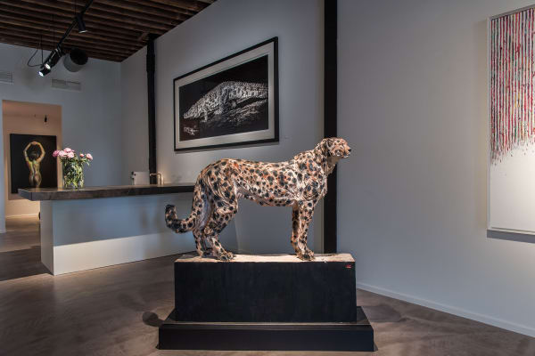 Gallerij Driesluyten 10