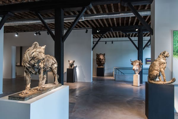 Gallerij Driesluyten 15