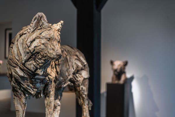 Gallerij Driesluyten 16